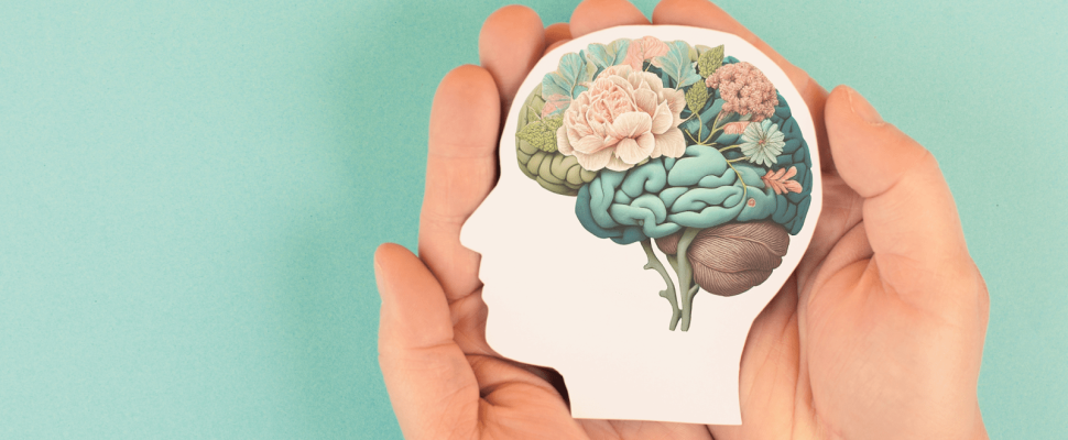 Best Mushroom Supplements for Brain Health